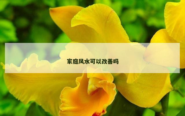 家庭风水可以改善吗