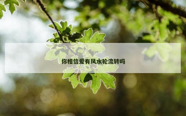 你相信爱有风水轮流转吗