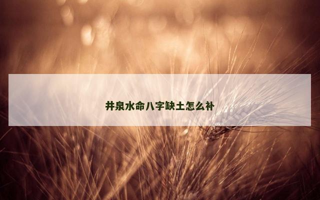井泉水命八字缺土怎么补