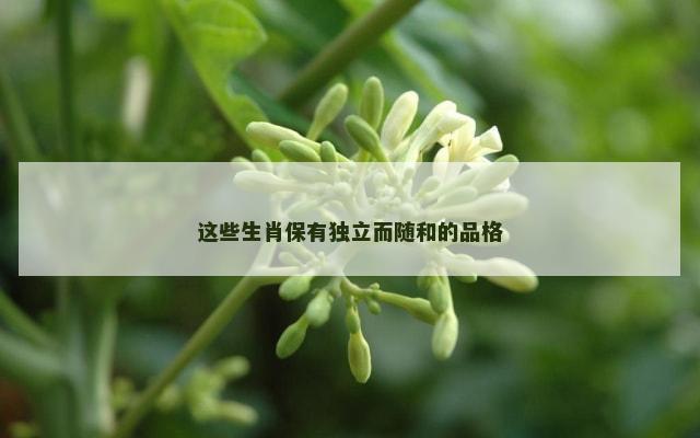 这些生肖保有独立而随和的品格