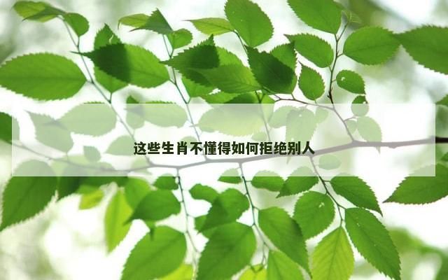 这些生肖不懂得如何拒绝别人