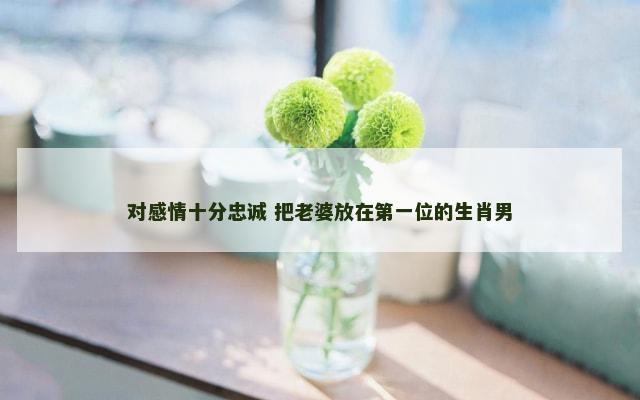 对感情十分忠诚 把老婆放在第一位的生肖男