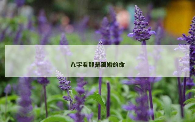 八字看那是离婚的命