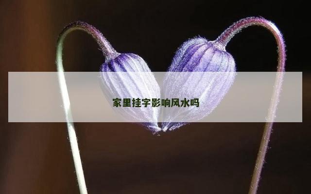 家里挂字影响风水吗