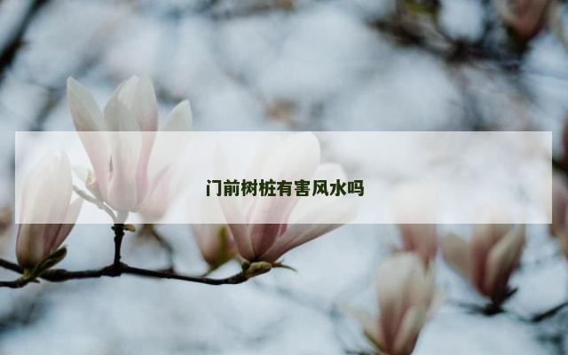 门前树桩有害风水吗