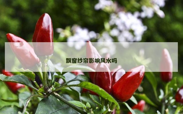 飘窗纱帘影响风水吗