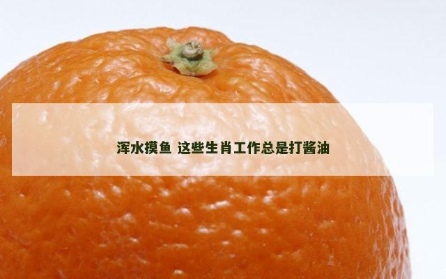 浑水摸鱼 这些生肖工作总是打酱油