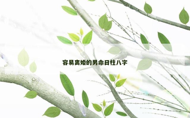 容易离婚的男命日柱八字