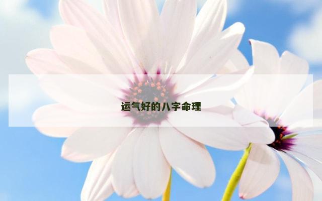 运气好的八字命理