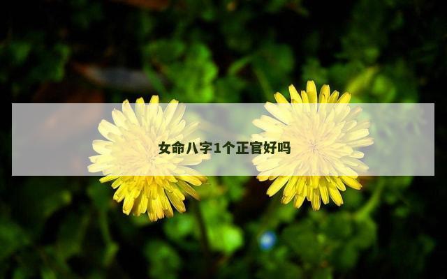 女命八字1个正官好吗