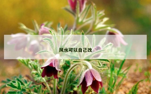 风水可以自己改