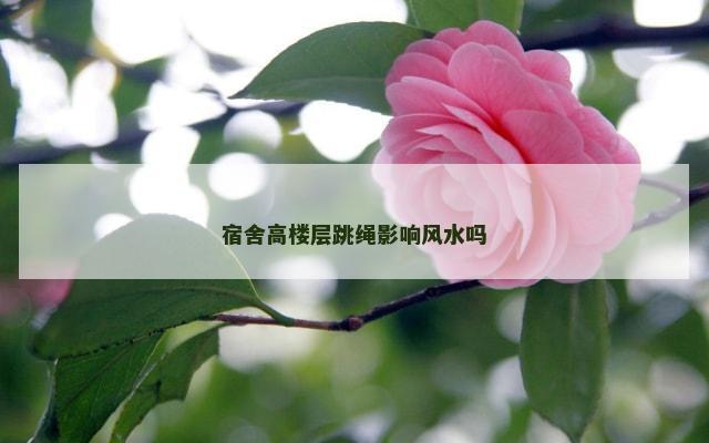宿舍高楼层跳绳影响风水吗