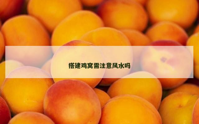 搭建鸡窝需注意风水吗