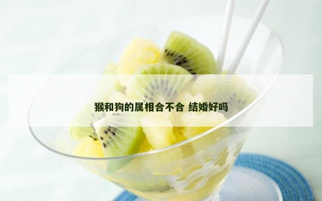 猴和狗的属相合不合 结婚好吗