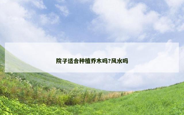 院子适合种植乔木吗?风水吗