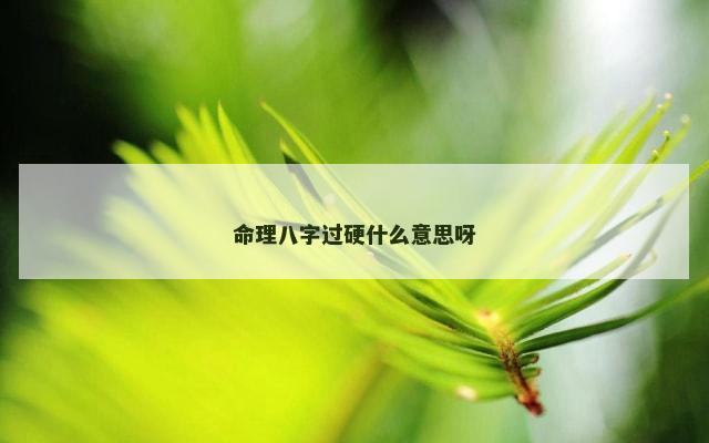 命理八字过硬什么意思呀