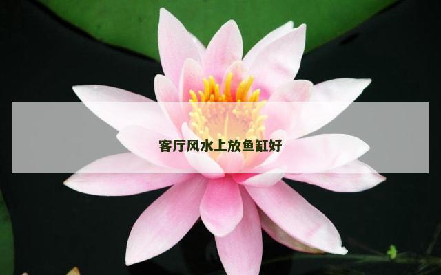 客厅风水上放鱼缸好