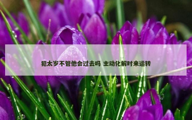 犯太岁不管他会过去吗 主动化解时来运转