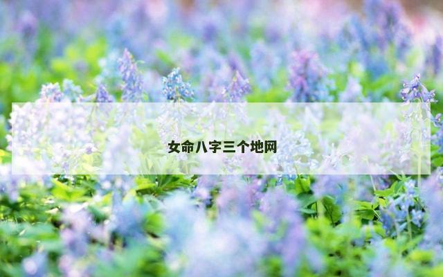 女命八字三个地网