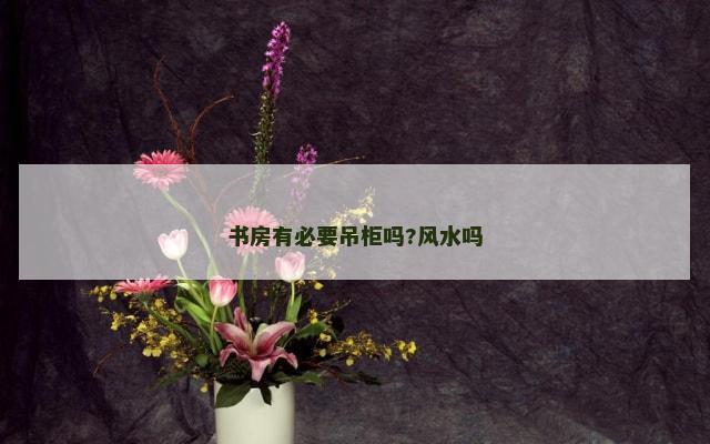 书房有必要吊柜吗?风水吗