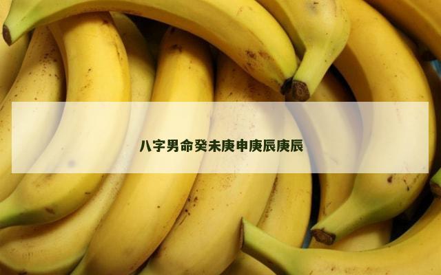 八字男命癸未庚申庚辰庚辰