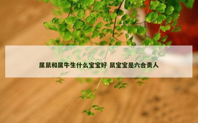 属鼠和属牛生什么宝宝好 鼠宝宝是六合贵人