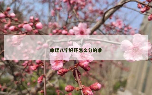 命理八字好坏怎么分的准