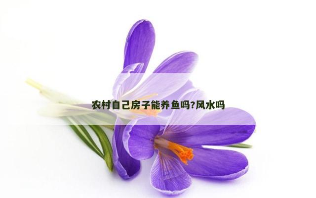 农村自己房子能养鱼吗?风水吗