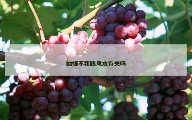 妯娌不和跟风水有关吗