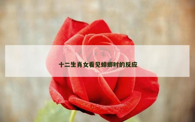 十二生肖女看见蟑螂时的反应