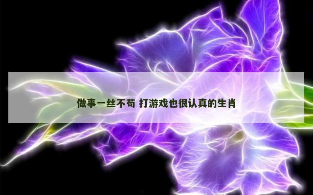 做事一丝不苟 打游戏也很认真的生肖
