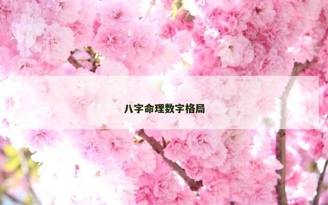 八字命理数字格局