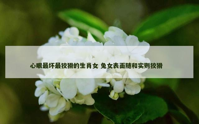 心眼最坏最狡猾的生肖女 兔女表面随和实则狡猾　　
