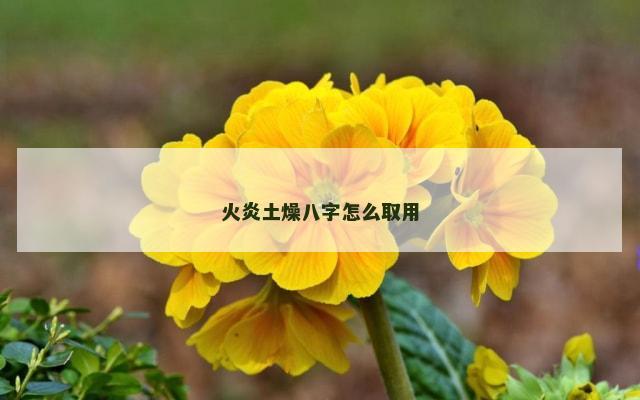 火炎土燥八字怎么取用
