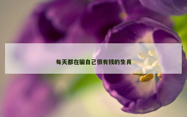每天都在骗自己很有钱的生肖