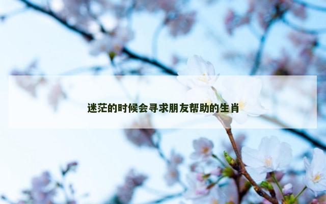 迷茫的时候会寻求朋友帮助的生肖