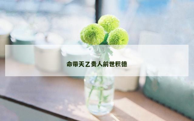 命带天乙贵人前世积德