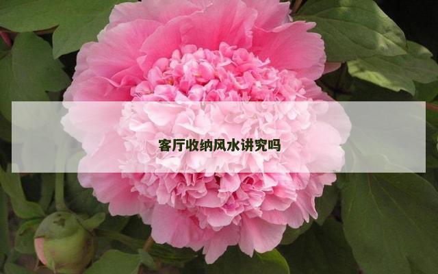 客厅收纳风水讲究吗