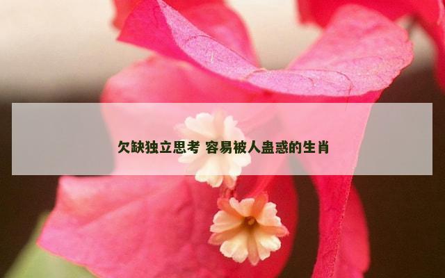 欠缺独立思考 容易被人蛊惑的生肖