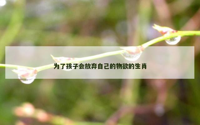 为了孩子会放弃自己的物欲的生肖