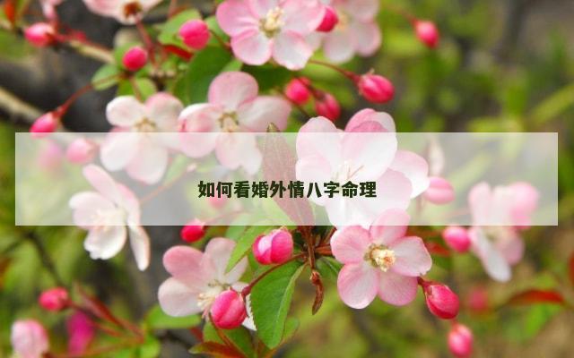 如何看婚外情八字命理