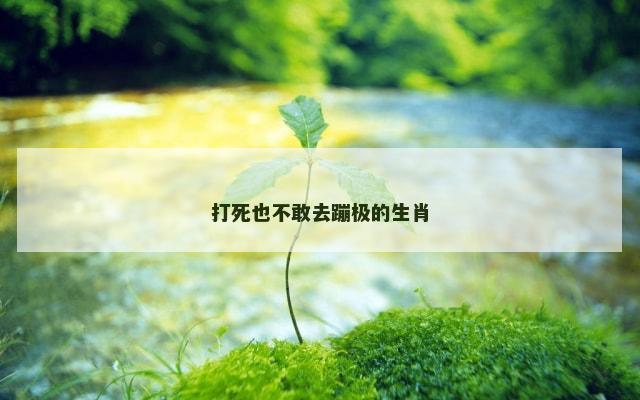 打死也不敢去蹦极的生肖