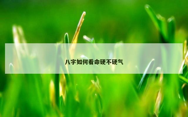八字如何看命硬不硬气