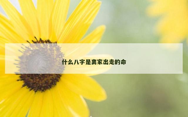 什么八字是离家出走的命