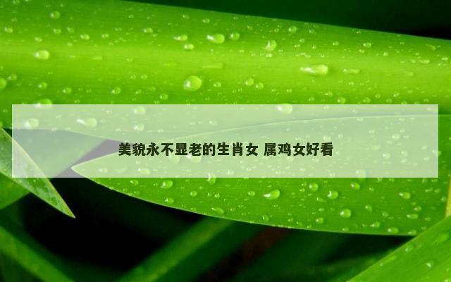 美貌永不显老的生肖女 属鸡女好看