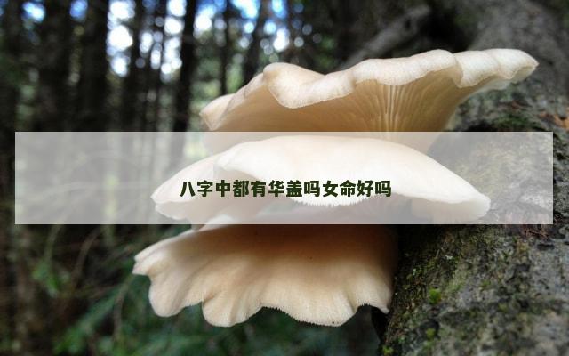 八字中都有华盖吗女命好吗