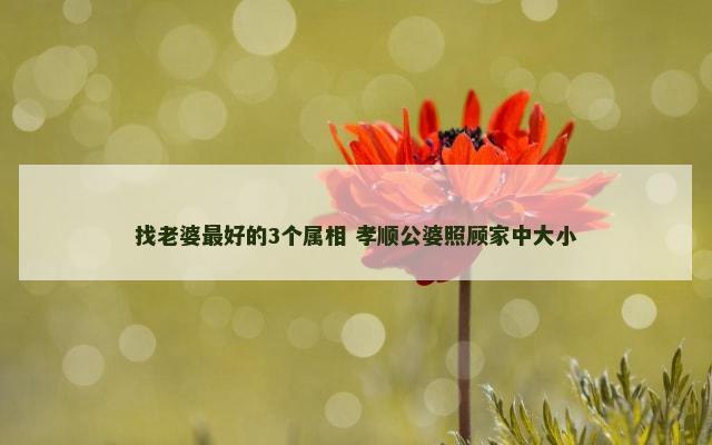 找老婆最好的3个属相 孝顺公婆照顾家中大小