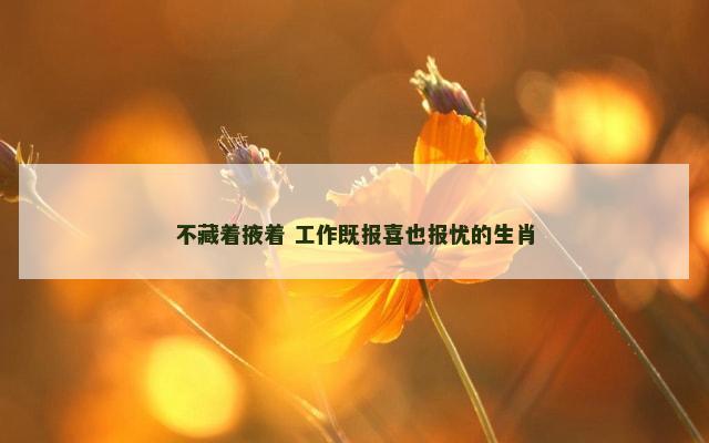 不藏着掖着 工作既报喜也报忧的生肖
