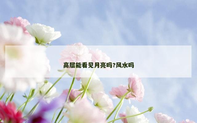高层能看见月亮吗?风水吗