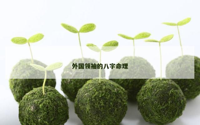 外国领袖的八字命理